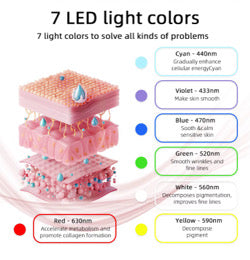 VAULTSKIN | LED Light Therapy Mask
